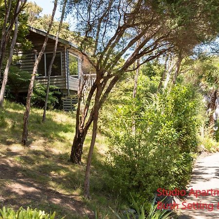 Bay Of Islands Holiday Apartments Paihia Chambre photo