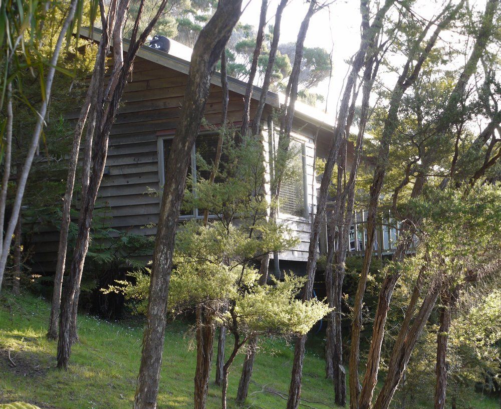 Bay Of Islands Holiday Apartments Paihia Extérieur photo