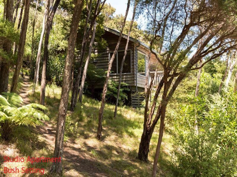 Bay Of Islands Holiday Apartments Paihia Extérieur photo