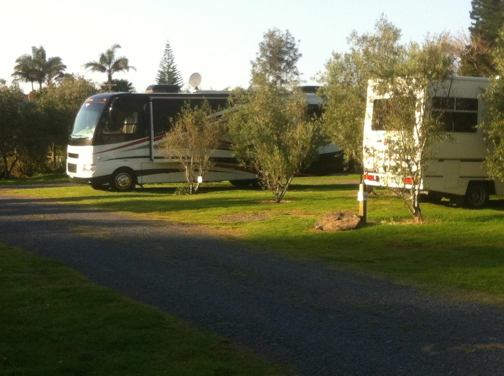 Bay Of Islands Holiday Apartments Paihia Extérieur photo